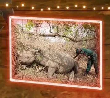 2D LED světlo zarámovaná fotografie, teple bílá, 36 V