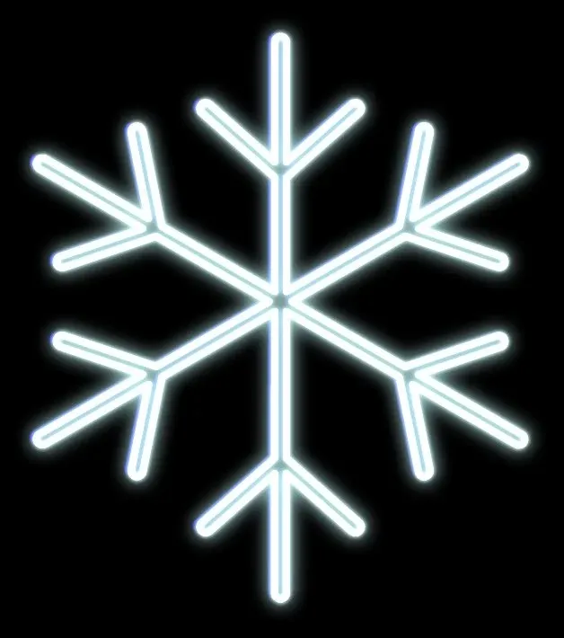 15779_D101