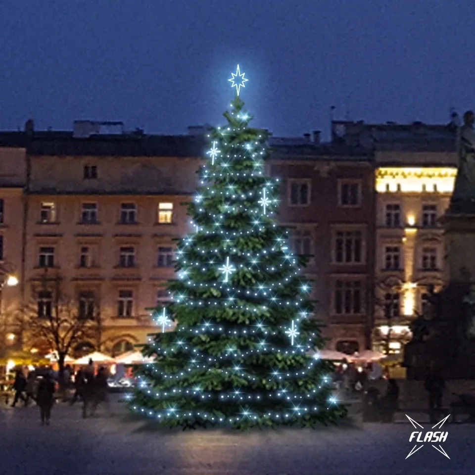 10728_TFS3027-l