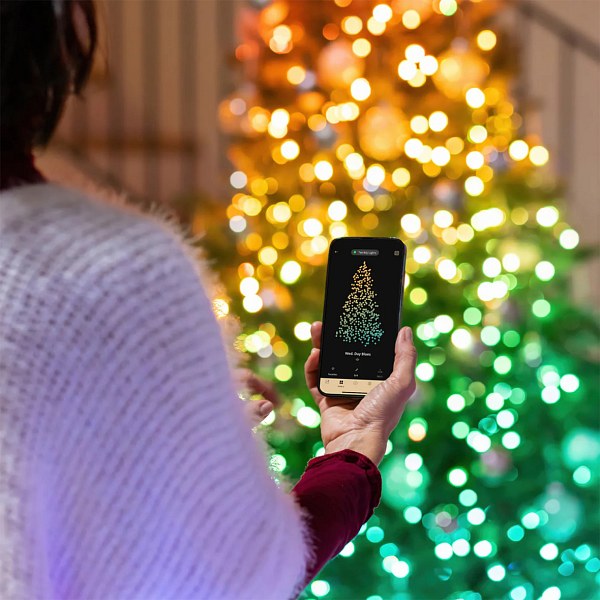 twinkly-gallery-5.jpeg
