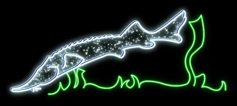 Jesiotr z oświetleniem LED 2D, 195 × 75 cm, stojący, druk 3D