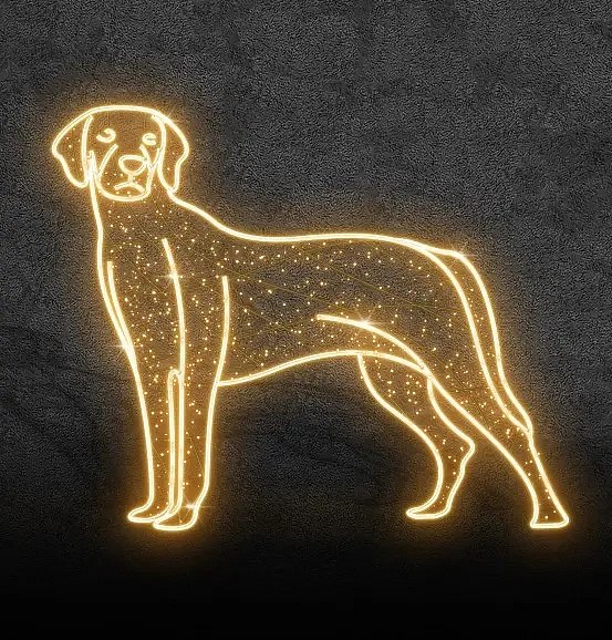Eco Fix 2D LED light dog, Pointer, wisząca, 120 × 100 × 3 cm, ciepła biel, wisząca, nadruk 3D, złota